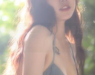 当奇行家狗崽遇上秘书，看看这个高清资源如何刷新你的幽默感！