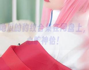 小野寺地瓜的豹纹合集在网盘上，看得我心旷神怡！