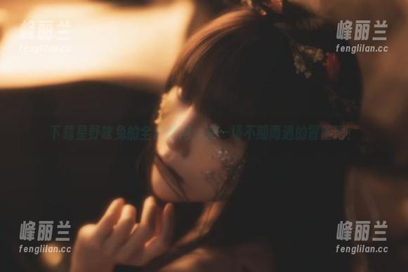下载星野咪兔的全套黑网，来一场不期而遇的冒险吧！