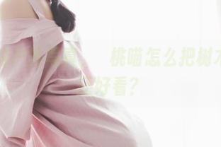说好的户外写真，桜桃喵怎么把树木比我还好看？
